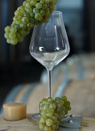 Встреча с основателем винодельни «Сухая Гора». 1-я Брестская