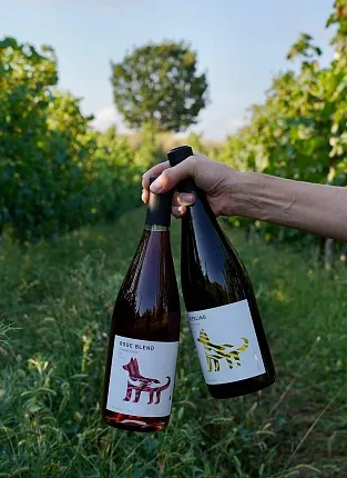 Органические вина Villa di Alma на Бауманской