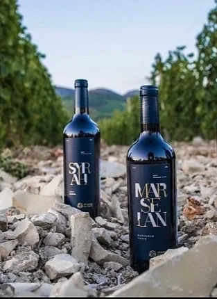 Усадьба Маркотх. Дегустация в Мытищах