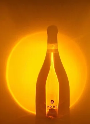 Дегустация «Жизнь в розовом цвете». Бауманская улица