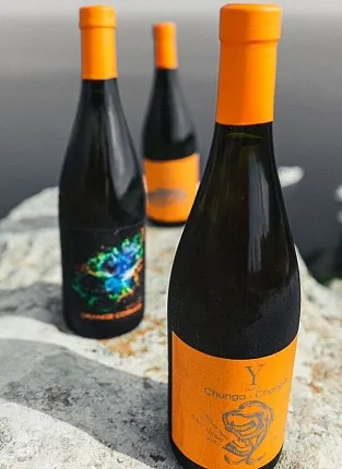 Дегустация Yaiyla Winery, проспект Мира