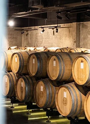 Знакомство с «Золотой Балкой». Встреча на Скандинавском  