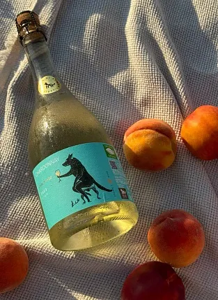 Вилла ди Альма на 1й Брестской