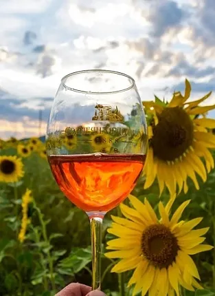 Дегустация «Солнечная Долина» на Новодмитровской