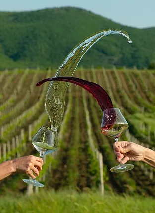 Крым vs. Кубань: винный баттл на Бауманской