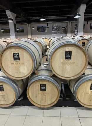 Винодельня «Мысхако». Дегустация на 1й Брестской