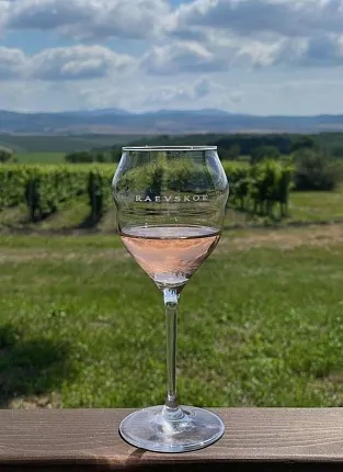 Винодельня «Раевское». Дегустация на 1й Брестской