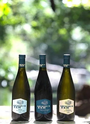 Рем Акчурин. Мытищи