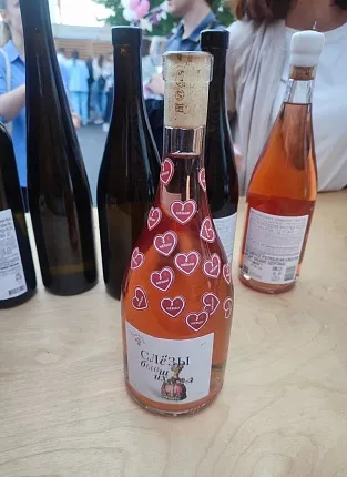 Винодельня «Новозаведённое». Дегустация на Боровском