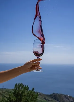 Винодельня Валерия Захарьина. Дегустация на 1й Брестской