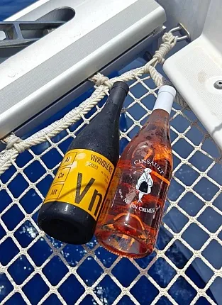 Вина Domaine de la Vivandiere на Бауманской