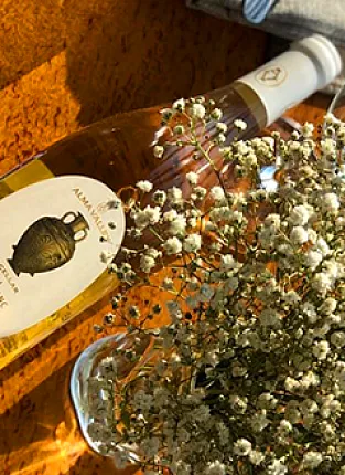 Alma Valley. Люсиновская улица