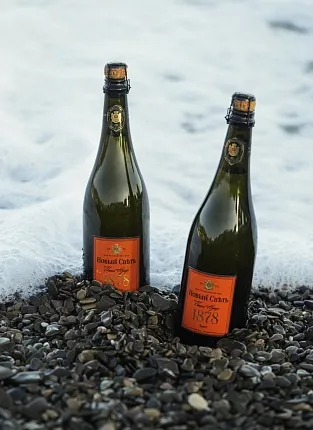 Новый Свет. Дегустация на 1й Брестской