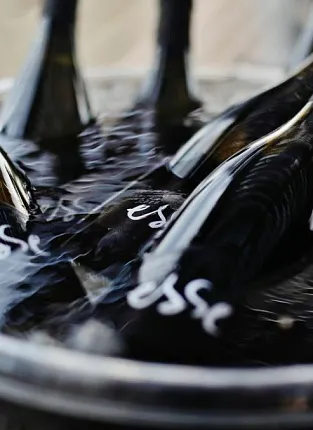 ESSE. Дегустация на 1й Брестской