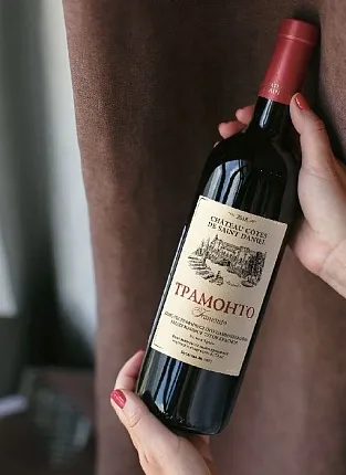 Шато Ай-Даниль. Дегустация на 1й Брестской