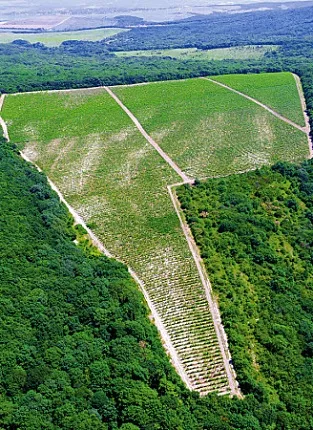 Gai Kodzor. Боровское шоссе, д.2 к.5