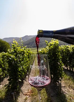 Винодельня «Криница»