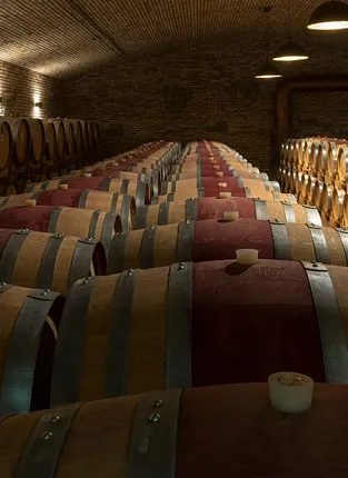 Усадьба Дивноморское. Мытищи, ул.Мира, 35