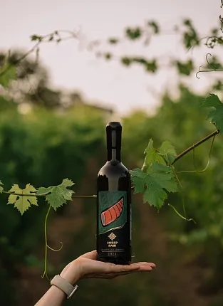 Дегустация «Собер Баш»