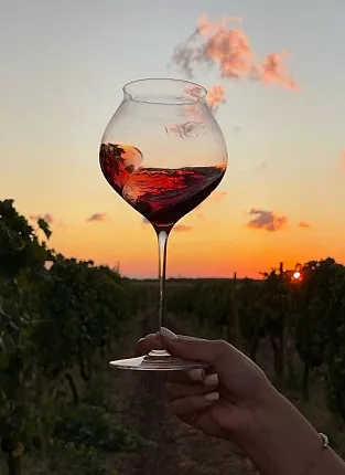 Вино с автографом: дегустация Bogovich Wine & Vineyard на 1-й Брестской