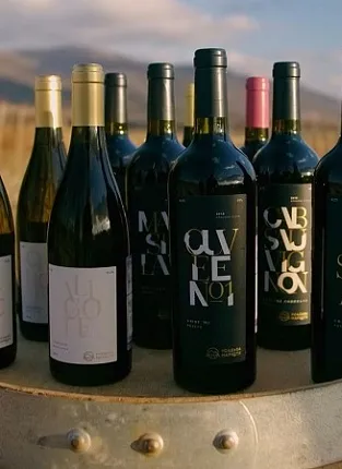 «Усадьба Маркотх». Дегустация на Бауманской