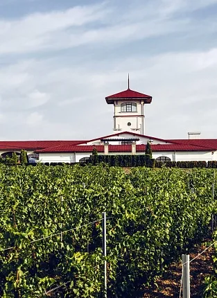 "Лефкадия". проспект Мира, 182