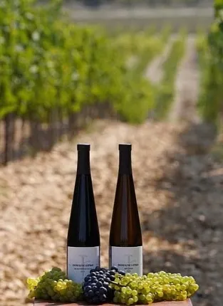 Domaine Lipko: встреча с виноделом на Бауманской