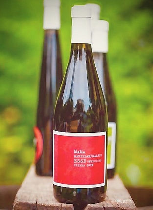 ESSE: история и люди. Дегустация на Бауманской