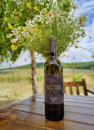 Дегустация Nesterov Winery. 1-я Брестская