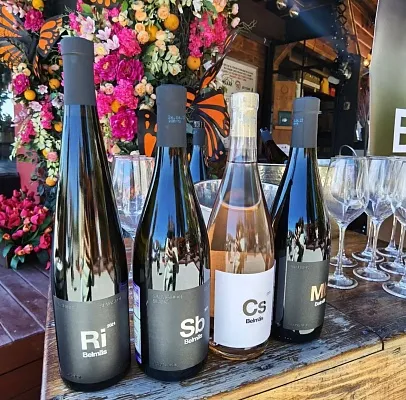 Дегустация вин Belmas Winery и Andryus Yutsis. Бауманская улица