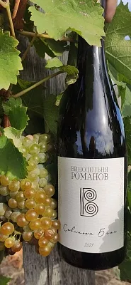 Винодельня Романов. Дегустация на 1-й Брестской